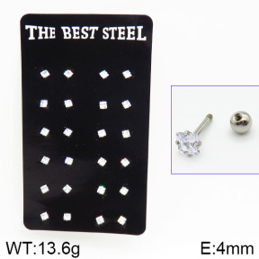 Stainless Steel Earrings  2E4001302ajma-256