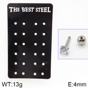 Stainless Steel Earrings  2E4001303ajma-256