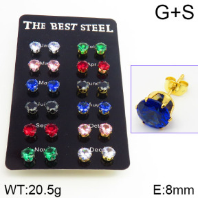 Stainless Steel Earrings  2E4001306ajia-256