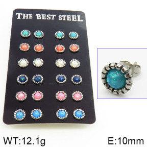 Stainless Steel Earrings  2E4001307akma-256