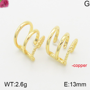 Fashion Copper Bangle  F5E200132vbnb-J111