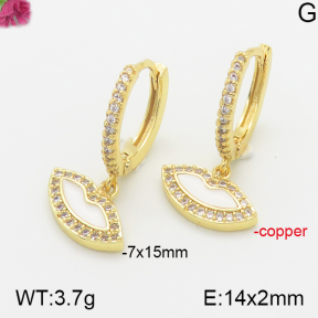 Fashion Copper Earrings  F5E300158vhha-J111