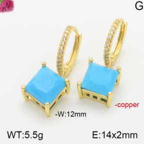 Fashion Copper Earrings  F5E400651vhha-J111