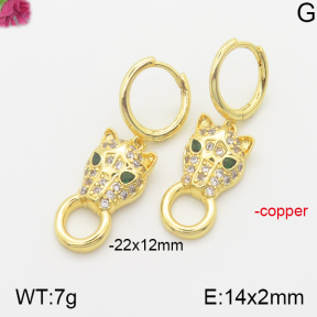 Fashion Copper Earrings  F5E400703vhnv-J40