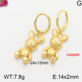 Fashion Copper Earrings  F5E400709ahlv-J40