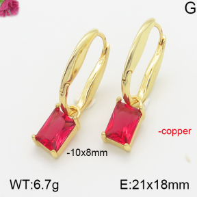 Fashion Copper Earrings  F5E400723ahpv-J40