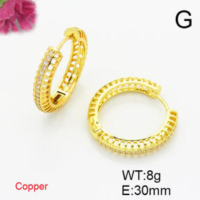 Fashion Copper Earrings  F6E403641bhia-L017