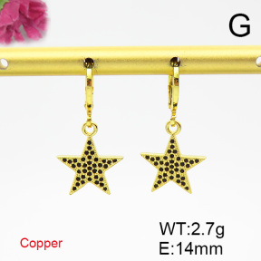 Fashion Copper Earrings  F6E403648vbmb-L017