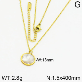 Stainless Steel Necklace  2N4000683aakl-434