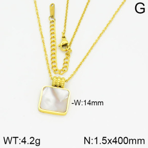 Stainless Steel Necklace  2N4000684ablb-434