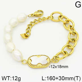 Stainless Steel Bracelet  2B3000919biib-722