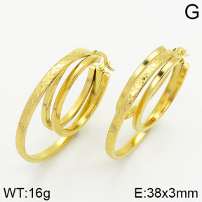 Stainless Steel Earrings  2E2000894ablb-423