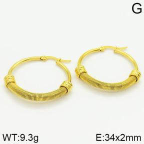 Stainless Steel Earrings  2E2000895vbmb-423
