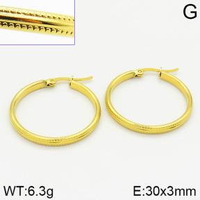 Stainless Steel Earrings  2E2000896vaia-423