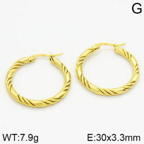 Stainless Steel Earrings  2E2000910ablb-423