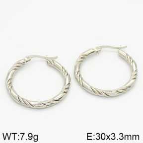 Stainless Steel Earrings  2E2000911aakl-423