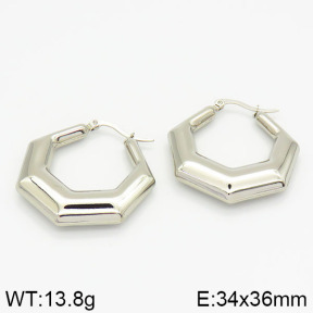 Stainless Steel Earrings  2E2000913bbov-423
