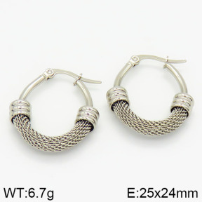 Stainless Steel Earrings  2E2000914ablb-423