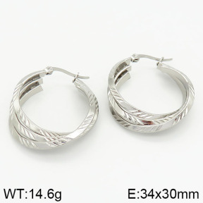 Stainless Steel Earrings  2E2000918aakl-423
