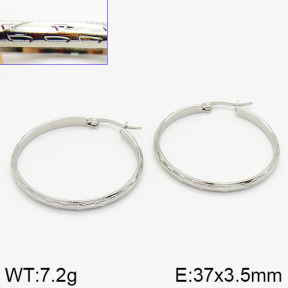 Stainless Steel Earrings  2E2000919vaia-423