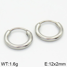 Stainless Steel Earrings  2E2000920vail-423