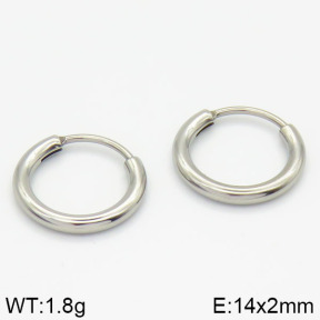 Stainless Steel Earrings  2E2000921vail-423