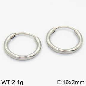 Stainless Steel Earrings  2E2000922vail-423