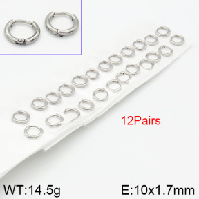 Stainless Steel Earrings  2E2000927bika-423