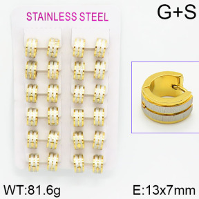 Stainless Steel Earrings  2E2000928ajma-423