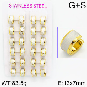 Stainless Steel Earrings  2E2000929ajma-423