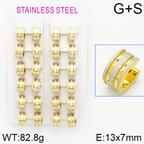 Stainless Steel Earrings  2E2000930ajma-423