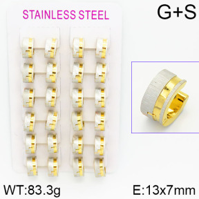 Stainless Steel Earrings  2E2000931ajma-423