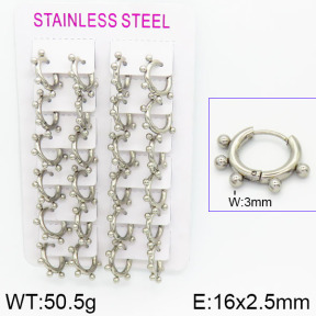 Stainless Steel Earrings  2E2000932ajvb-423