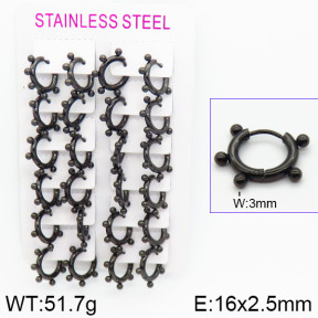 Stainless Steel Earrings  2E2000933ajma-423