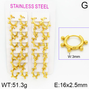 Stainless Steel Earrings  2E2000934ajma-423