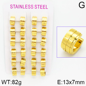 Stainless Steel Earrings  2E2000935ajvb-423