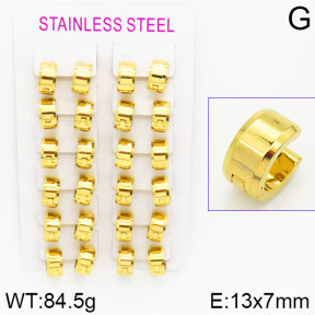 Stainless Steel Earrings  2E2000936ajvb-423