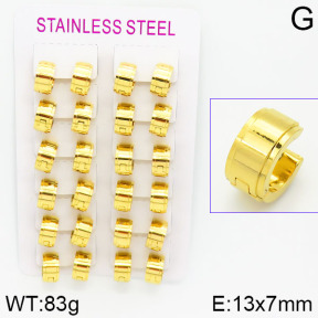 Stainless Steel Earrings  2E2000937ajvb-423