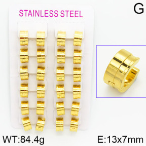 Stainless Steel Earrings  2E2000938ajvb-423