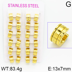 Stainless Steel Earrings  2E2000939ajvb-423
