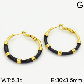 Stainless Steel Earrings  2E3000699vbnb-423