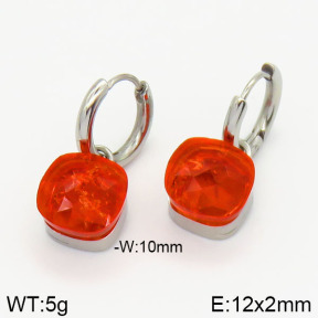 Stainless Steel Earrings  2E4001322vhha-722