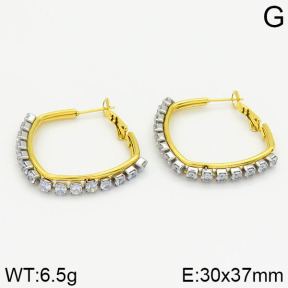 Stainless Steel Earrings  2E4001324vbnb-423
