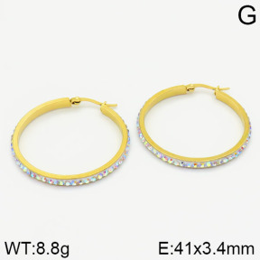 Stainless Steel Earrings  2E4001325ablb-423