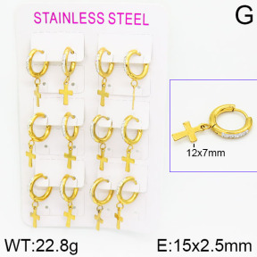Stainless Steel Earrings  2E4001328vihb-423