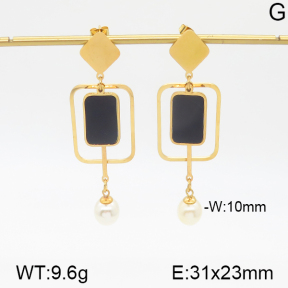 Stainless Steel Earrings  5E3000462vbnb-382