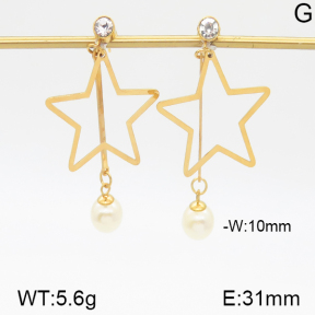 Stainless Steel Earrings  5E3000465vbmb-382