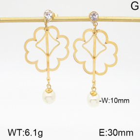 Stainless Steel Earrings  5E3000466vbmb-382