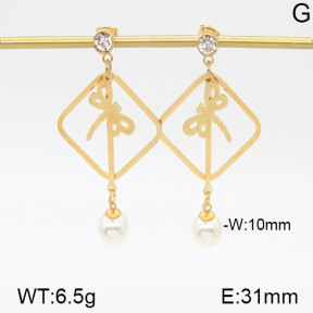 Stainless Steel Earrings  5E3000467vbmb-382