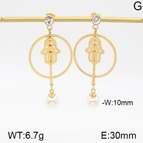 Stainless Steel Earrings  5E3000468vbmb-382